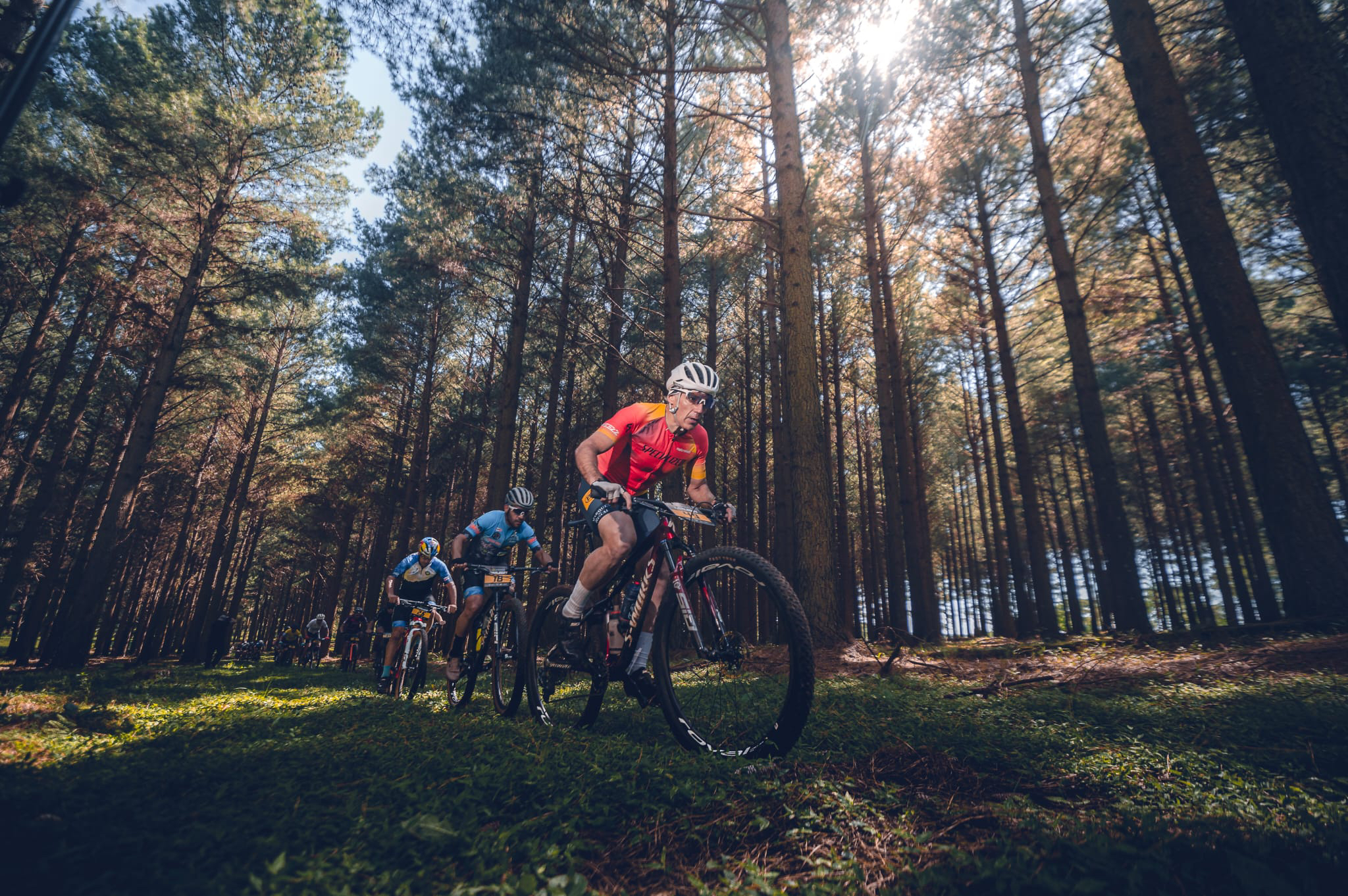Fronterón MTB